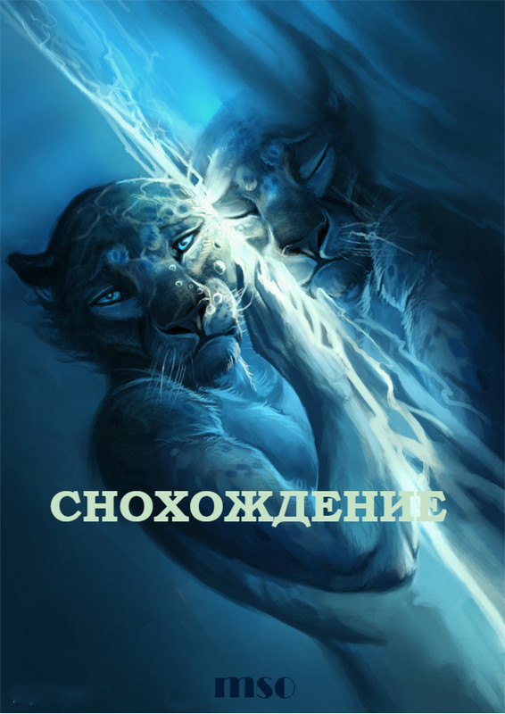 145D3C2D-68E8-4DA9-9E22-95B5F5B15005