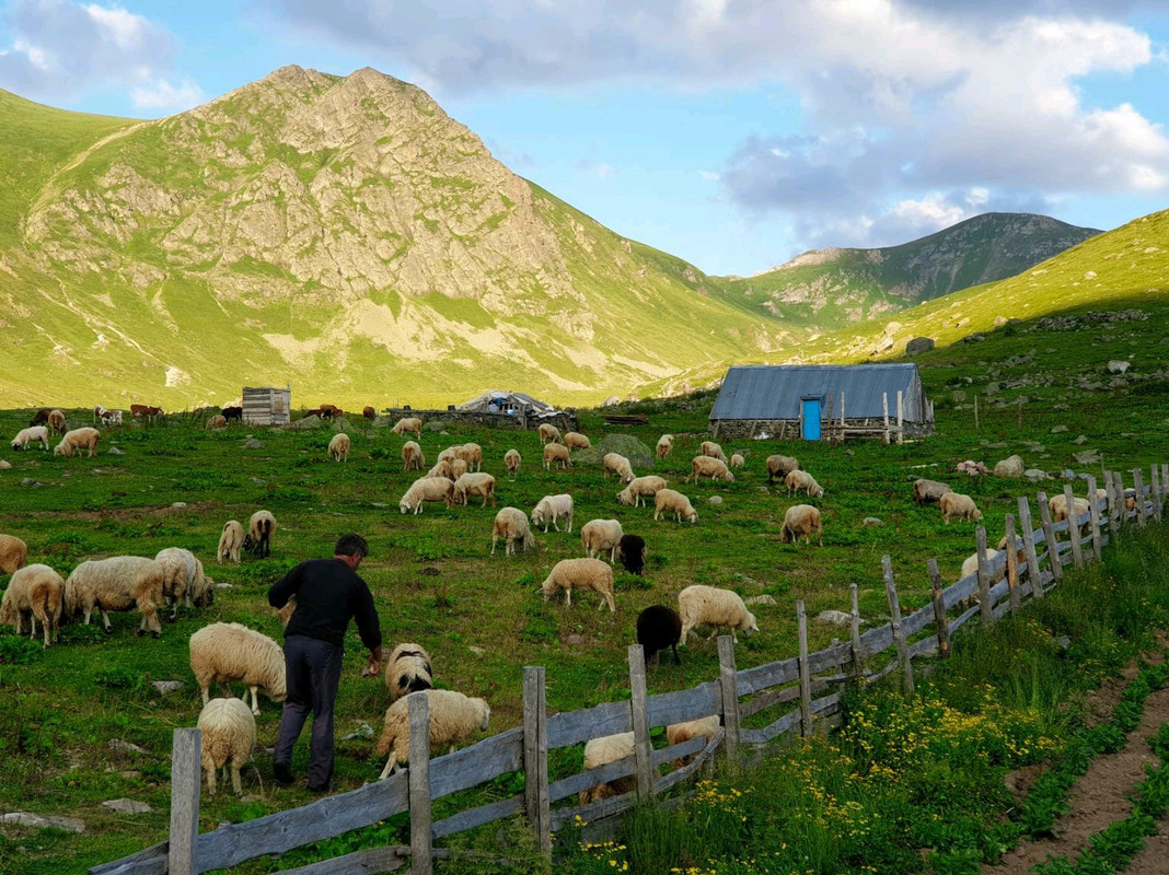 image_e9bc3c2f-af4f-4233-b8a4-186eacf53c5420200807_113652