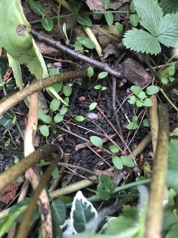 CB3562D9-3F3C-4265-8E6A-DA5E73C0E0A3