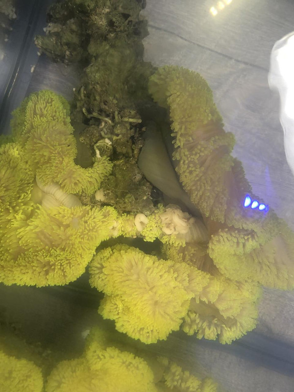 DEC23812-710D-4584-AE50-4993F161973B