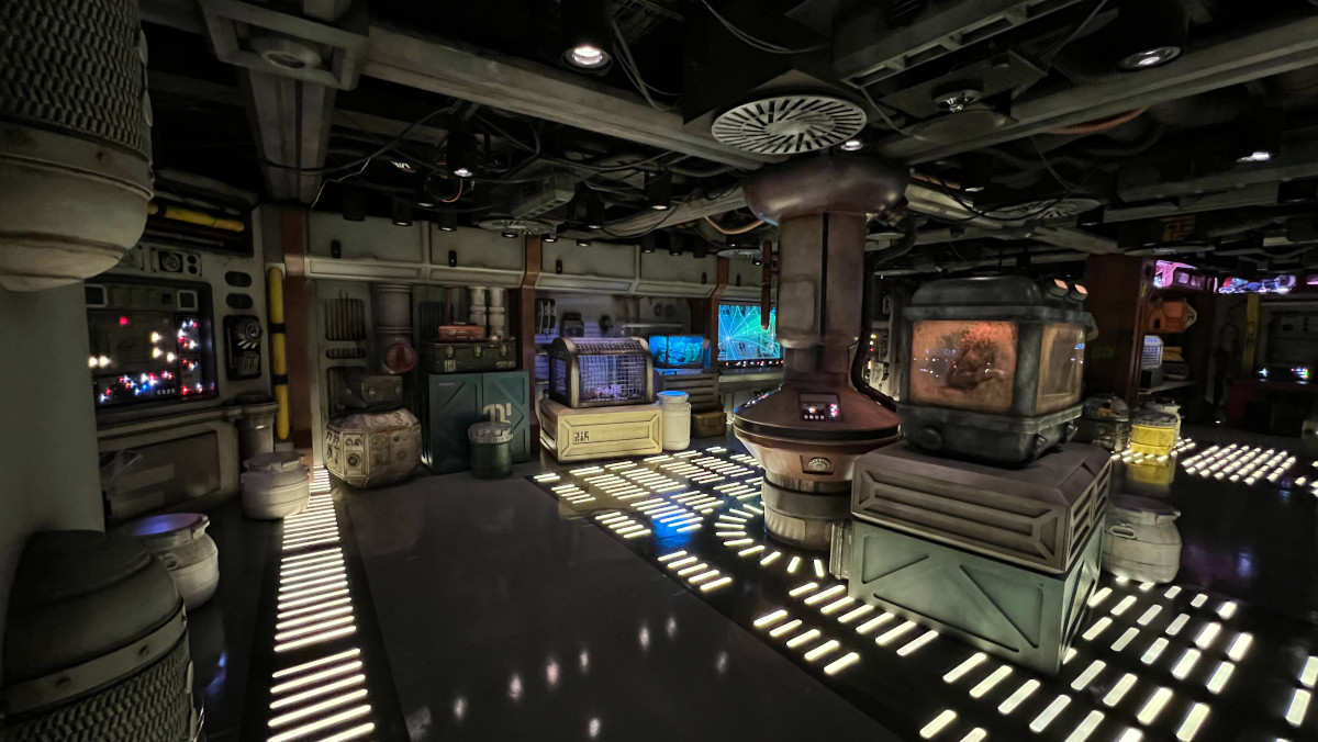 Star-Wars-Cargo-Bay-Disney-Wish.jpg