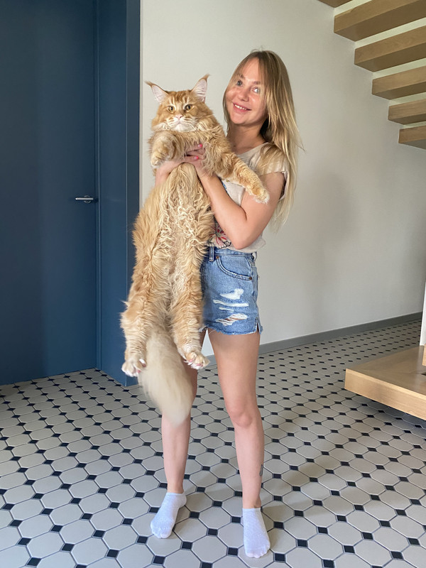 BB5B6370-28D3-4B5E-A28E-A20245882F1E