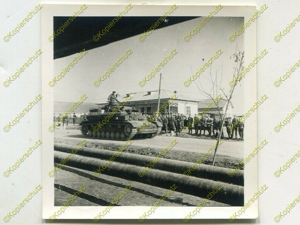 Foto, Panzer-Regiment 36, Panzer an der Grenze Rumänien - Bulgar