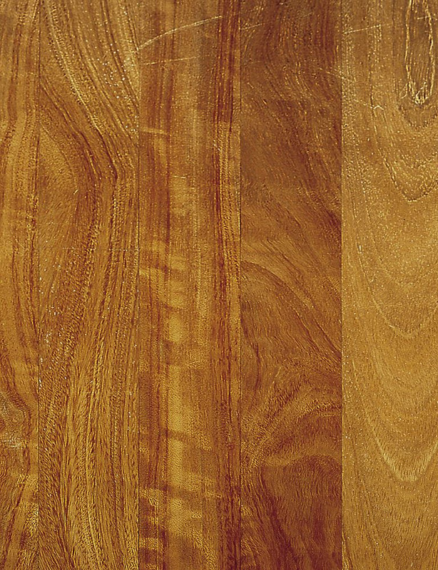 wood-texture-3dsmax-191