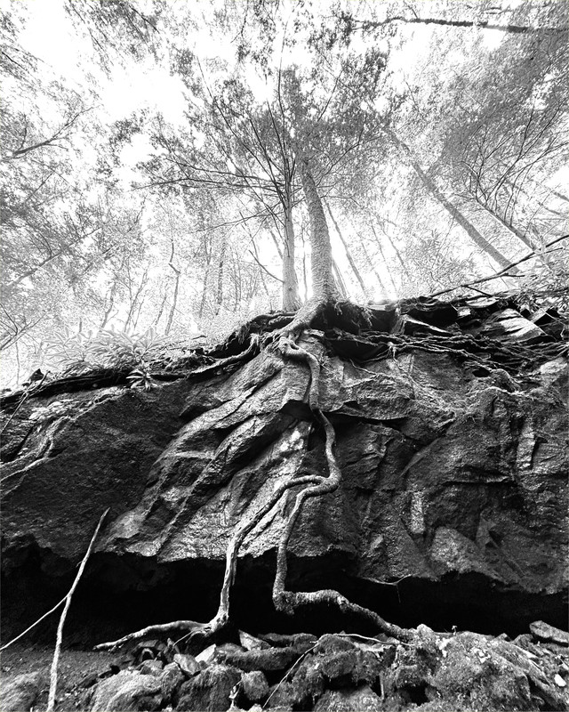 September-1st-10bw