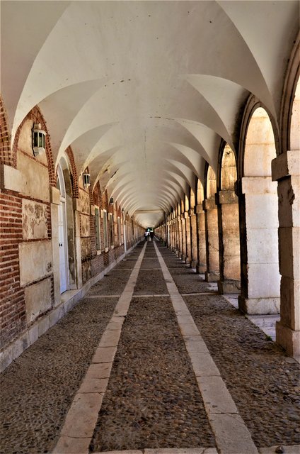 Madrid y sus pueblos-2000/2022 - Blogs de España - ARANJUEZ-2009/2014 (38)
