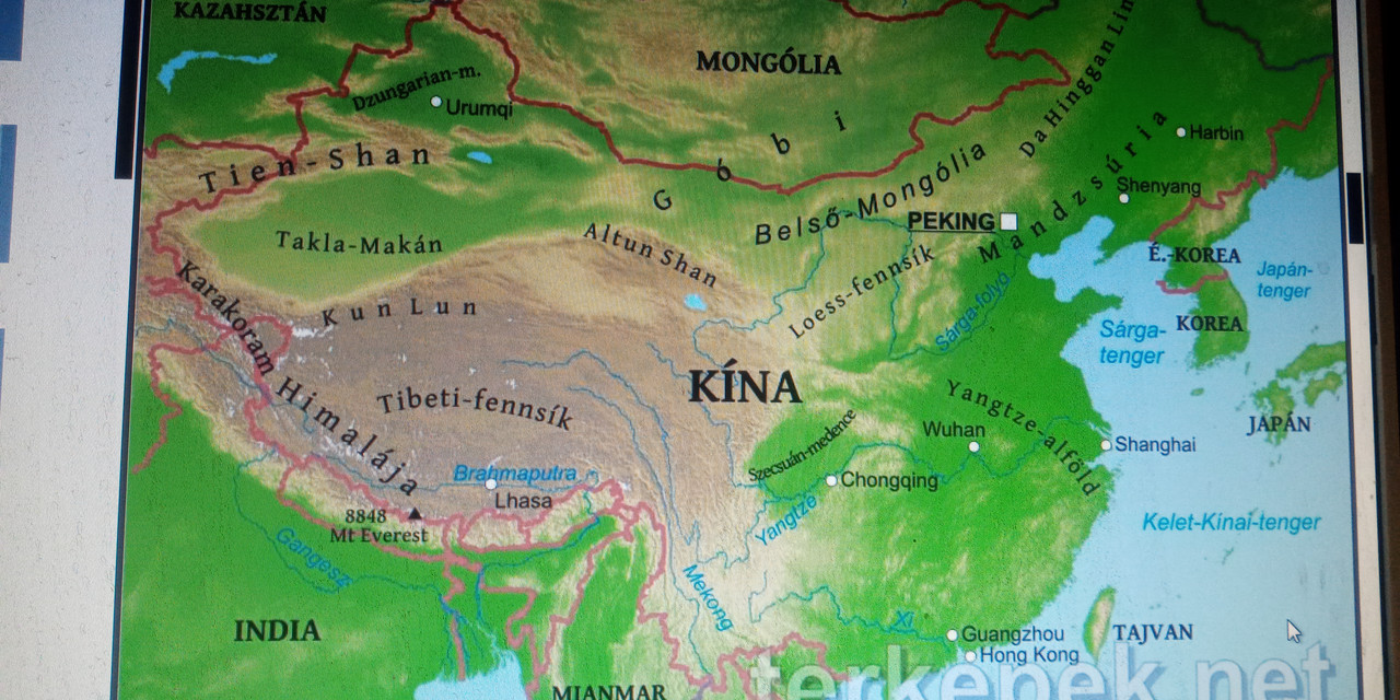 Kép