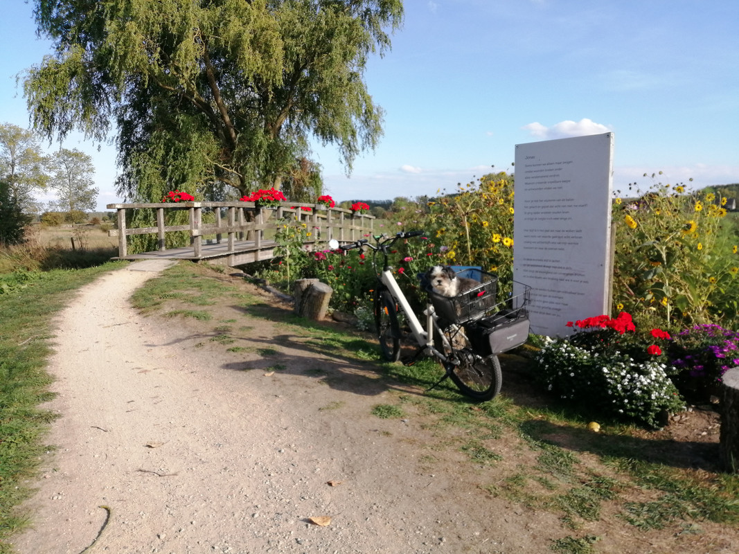 IMG-20250928-163415