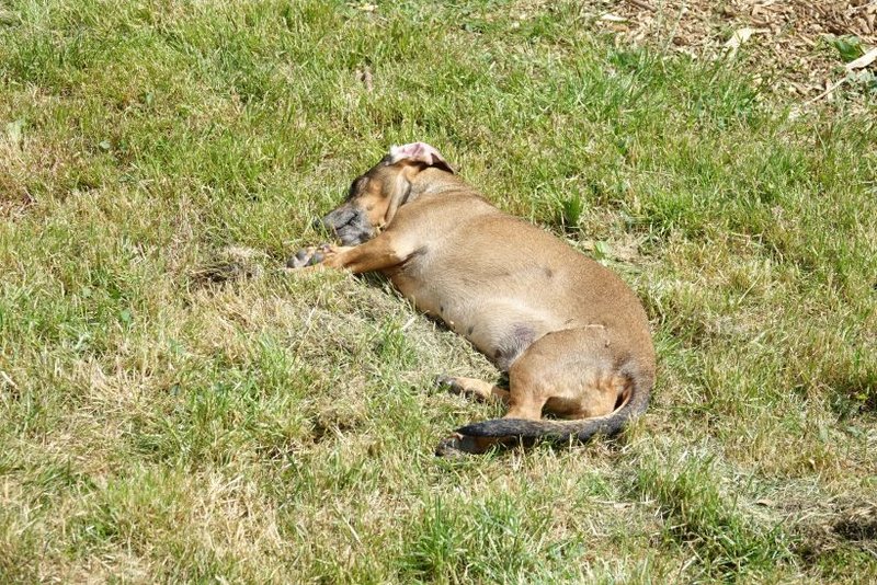 [Image: DSC01460.jpg]