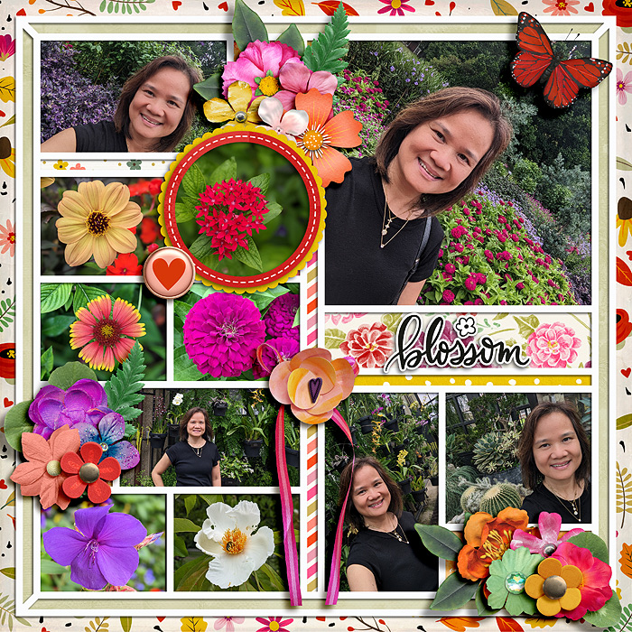 Blossom-immaculeah.jpg