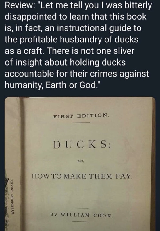 Make ducks pay