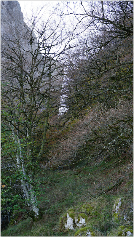 DSC08211