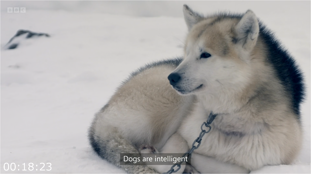 [Image: qesux9now944.png]