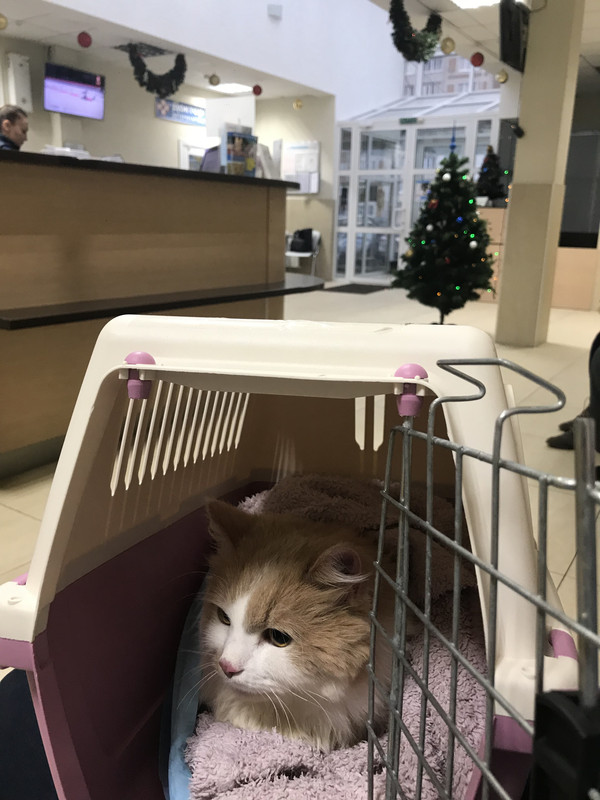 44671158-A8A6-4CBD-A0DA-481D2AC1E81F