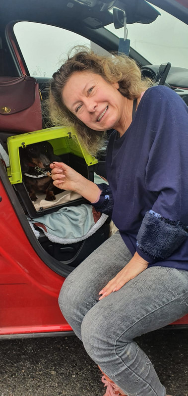 [Image: IMG-20221126-WA0003.jpg]