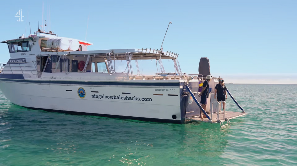 [Image: bf71zhtj6qr2.png]