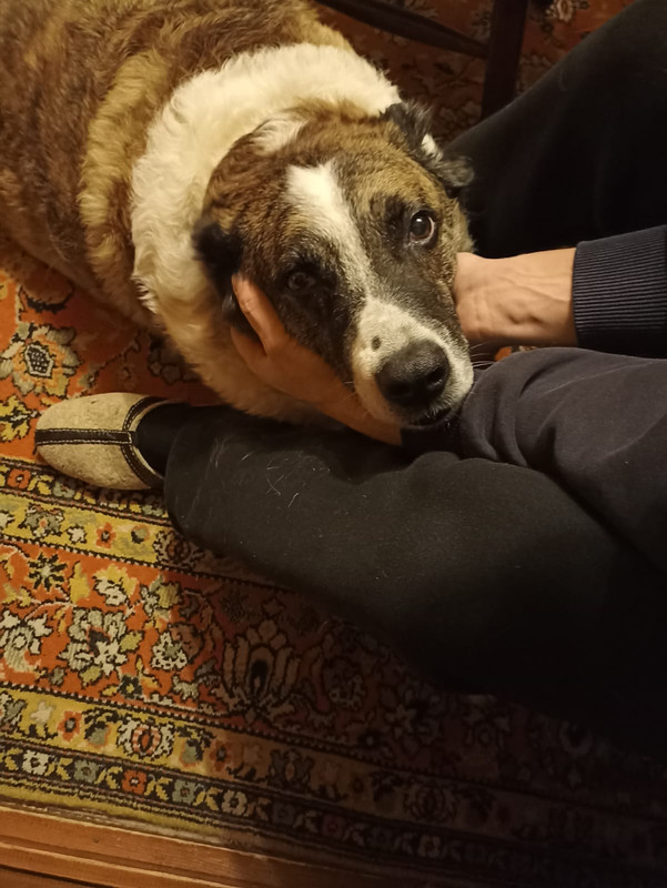 2F96D6A0-0B46-4A52-93D4-4F066318BAEA