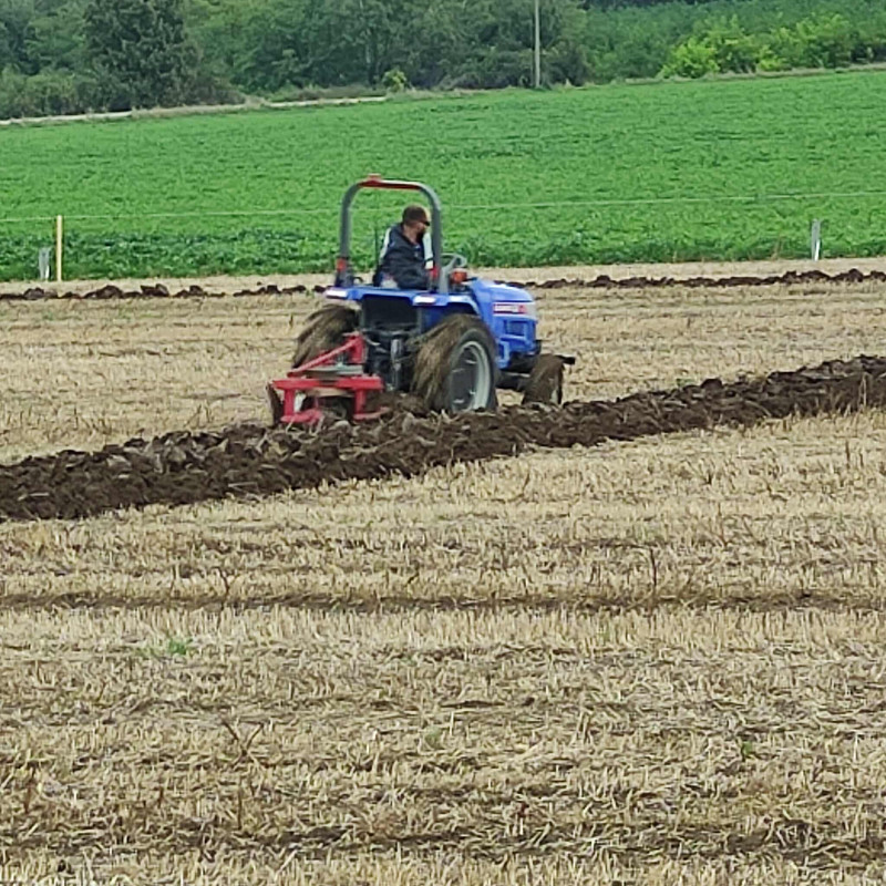 552683150_717669774665365_4732473178689005695_n