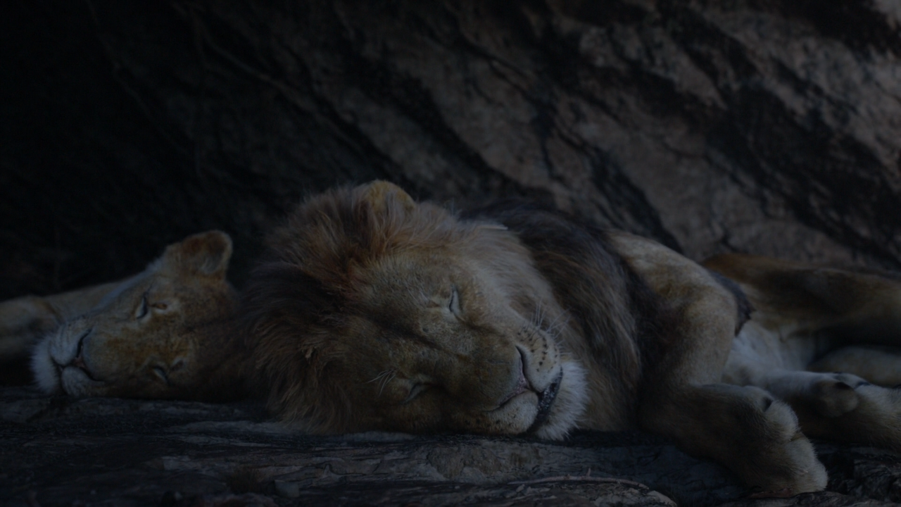 Il Re Leone (2019) [BluRay Rip 1080p ITA-ENG DD AC3 SUBS] [M@HD]