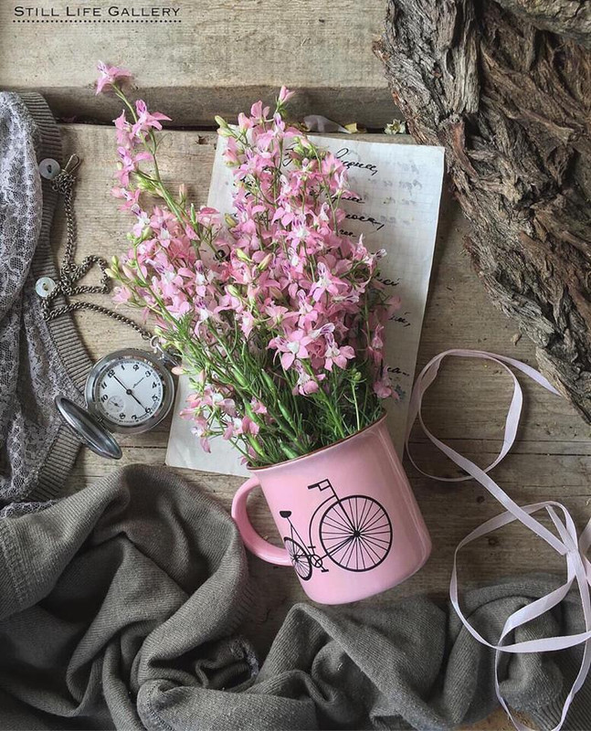 ���� ���� ������ �� ���� ������