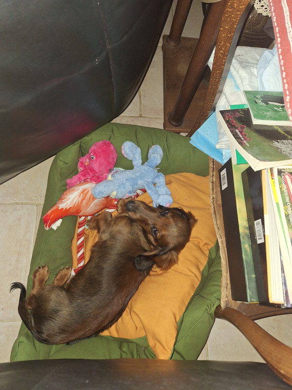 [Image: 20240229-123424.jpg]