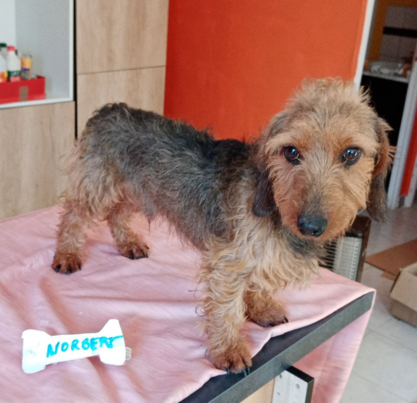 [Image: image000000-48.jpg]