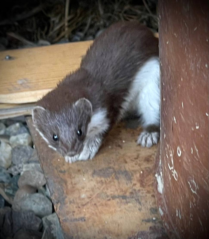 C0E1F4FF-BA53-4434-925B-F7F9E3A86302