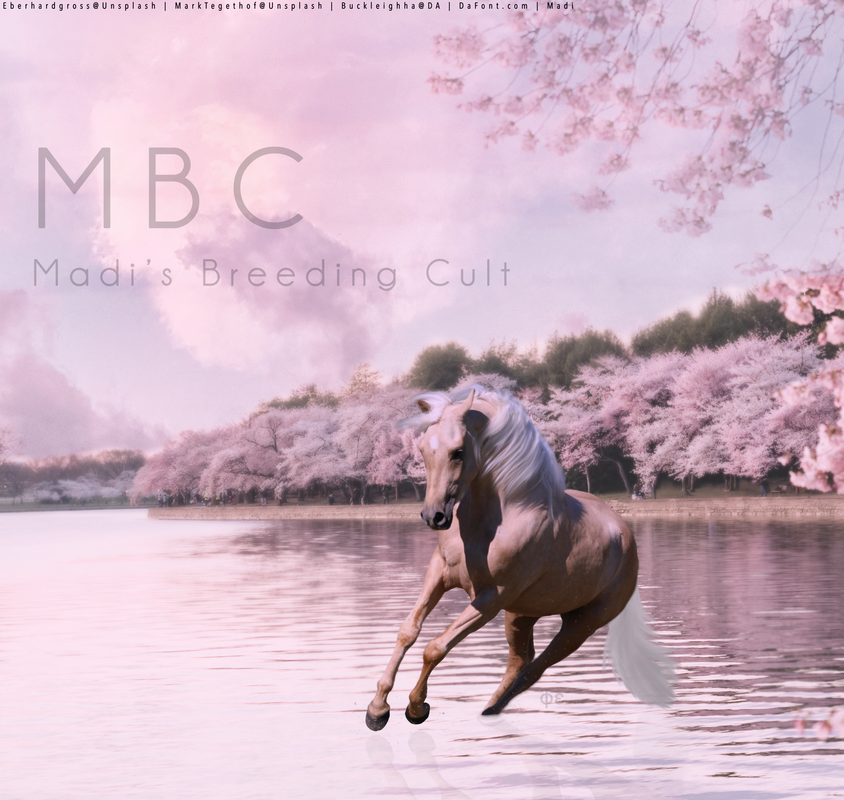 C3104BB6-547A-4802-BEDF-5D782172BE65