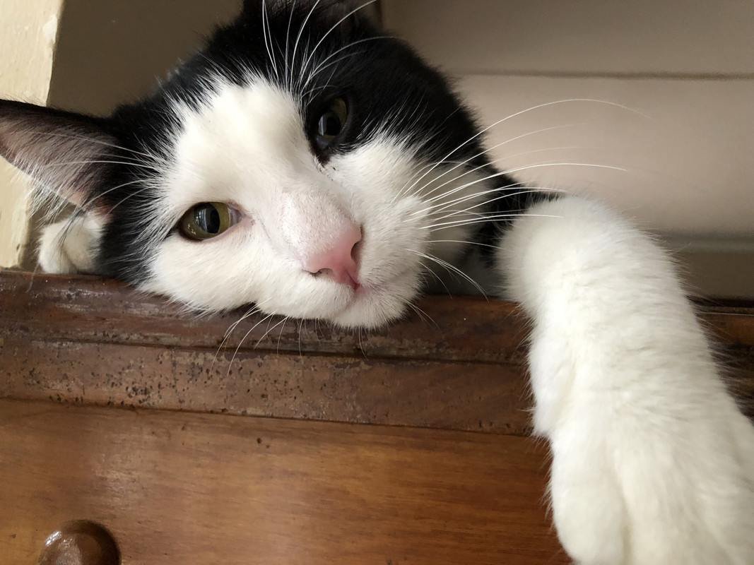 8925BA0B-7FCC-4645-ADC2-B4FC55E9C7D7