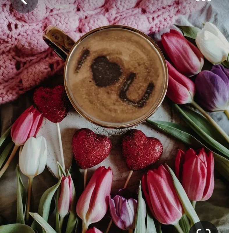 Screenshot_20230731_233314_Pinterest