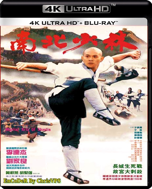 Klasztor Shaolin / The Shaolin Temple (1982) MULTI.AI.BluRay.HDR.UP.2160p-ChrisVPS / LEKTOR i NAPISY