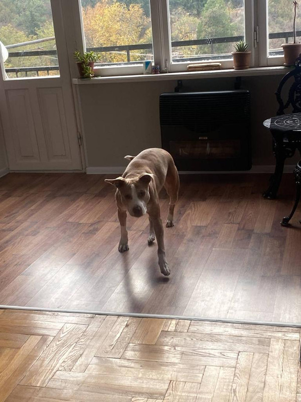 5285638C-9CDE-4400-BF4F-41C9B77EE498