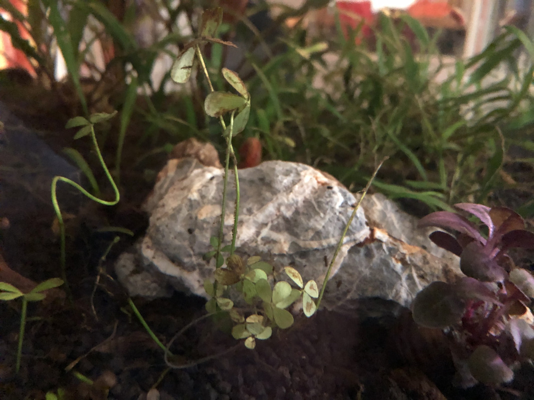 5EFD2846-6F88-4D56-BFC1-6F42F13E813A