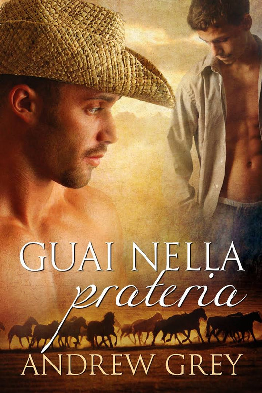 Andrew Grey - Guai nella prateria (2012)