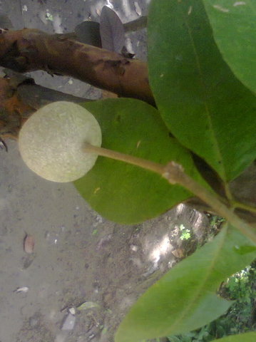 Photo0126_001