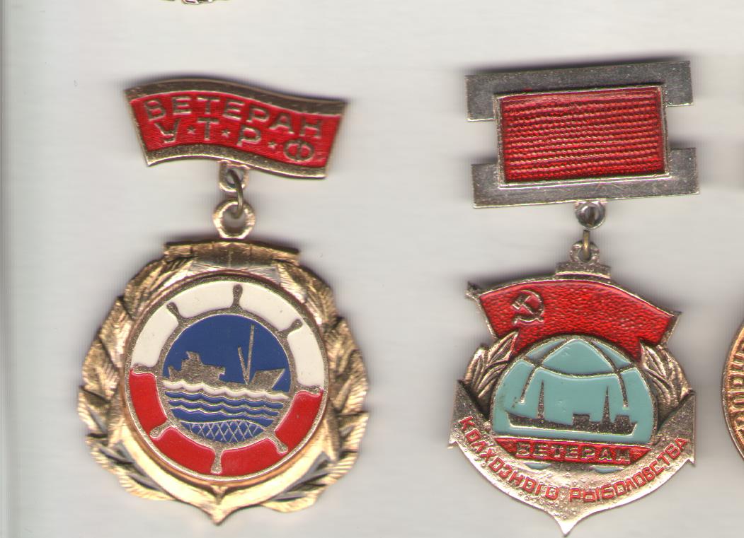 Рисунок (6)