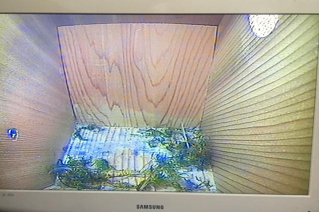 4ED88B71-DE31-48D1-9EAC-28AF3103DDF3