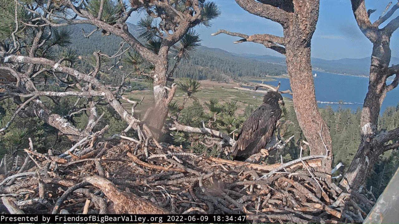 Webp.net-gifmaker (10)