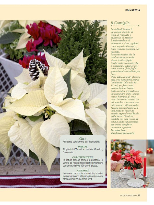 Il Mio Giar Dic 2024-Gen 2025 (12)