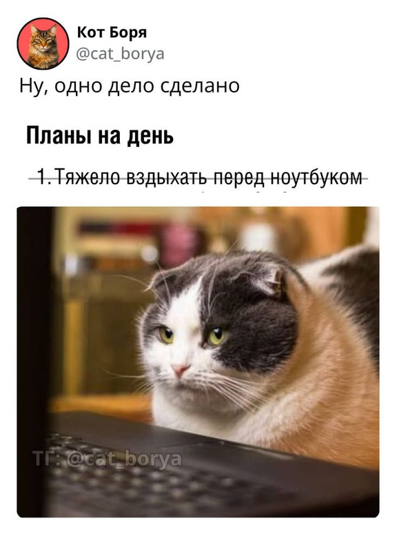 d152afe0f8d5b184c1cc5d6e727caa57.jpg