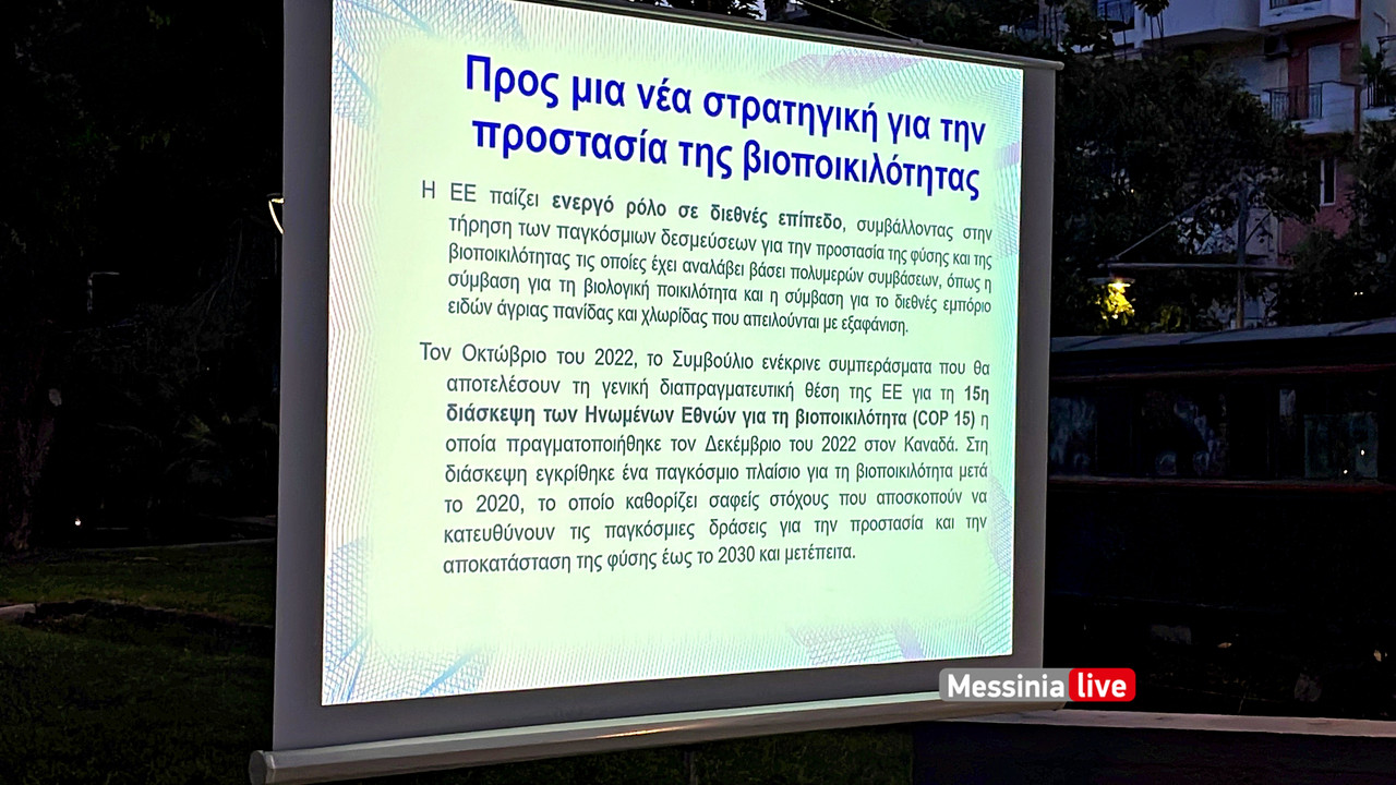 ΛΙΟΝΤΗΡΗΣimage00013