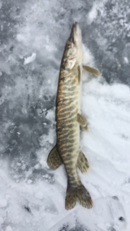 16925D37-9EA9-4749-8F28-850194C255A2