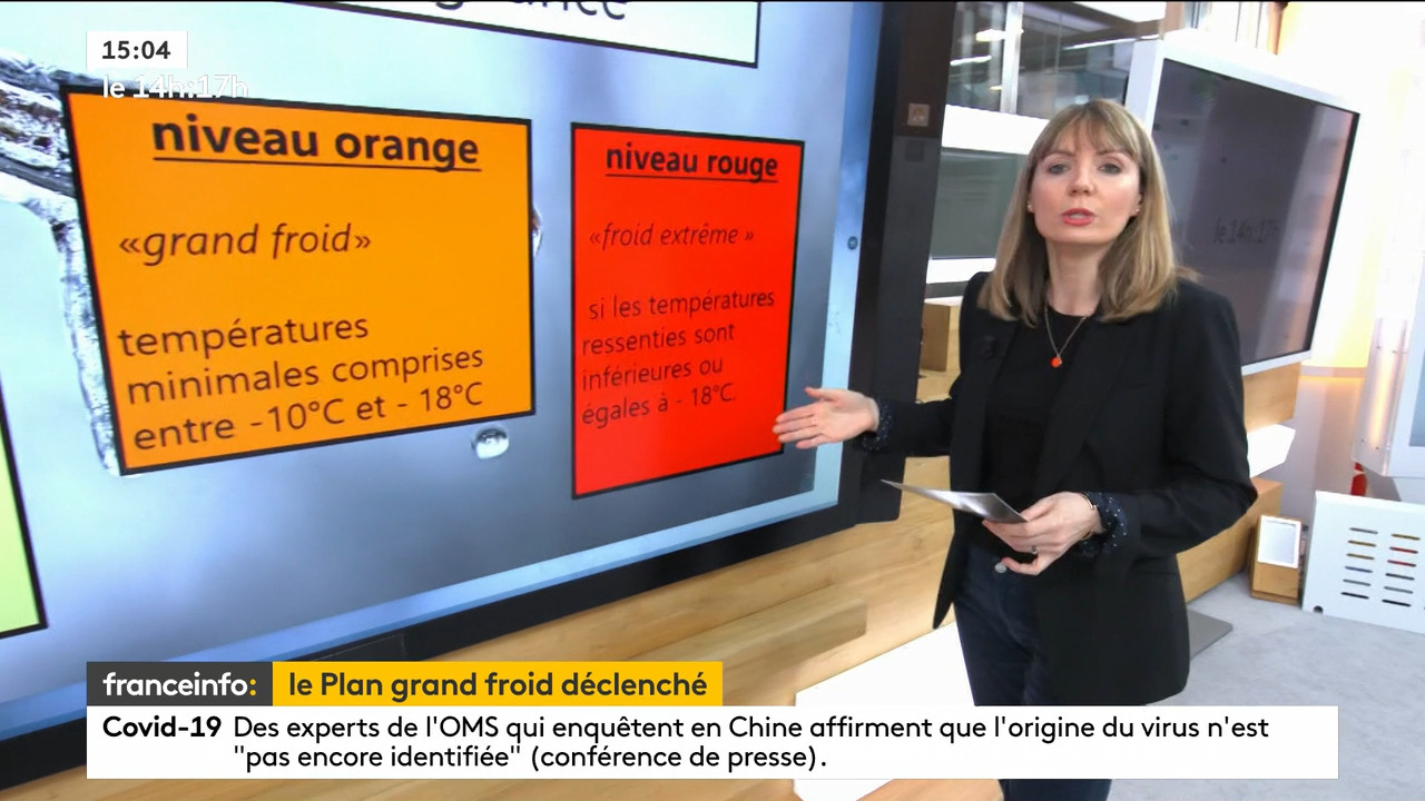 02.09 - 12.59.00 - Le 14h-17h. Au sommaire   Vrai ou fake. - francein..._001.ts_snapshot_00.03.224
