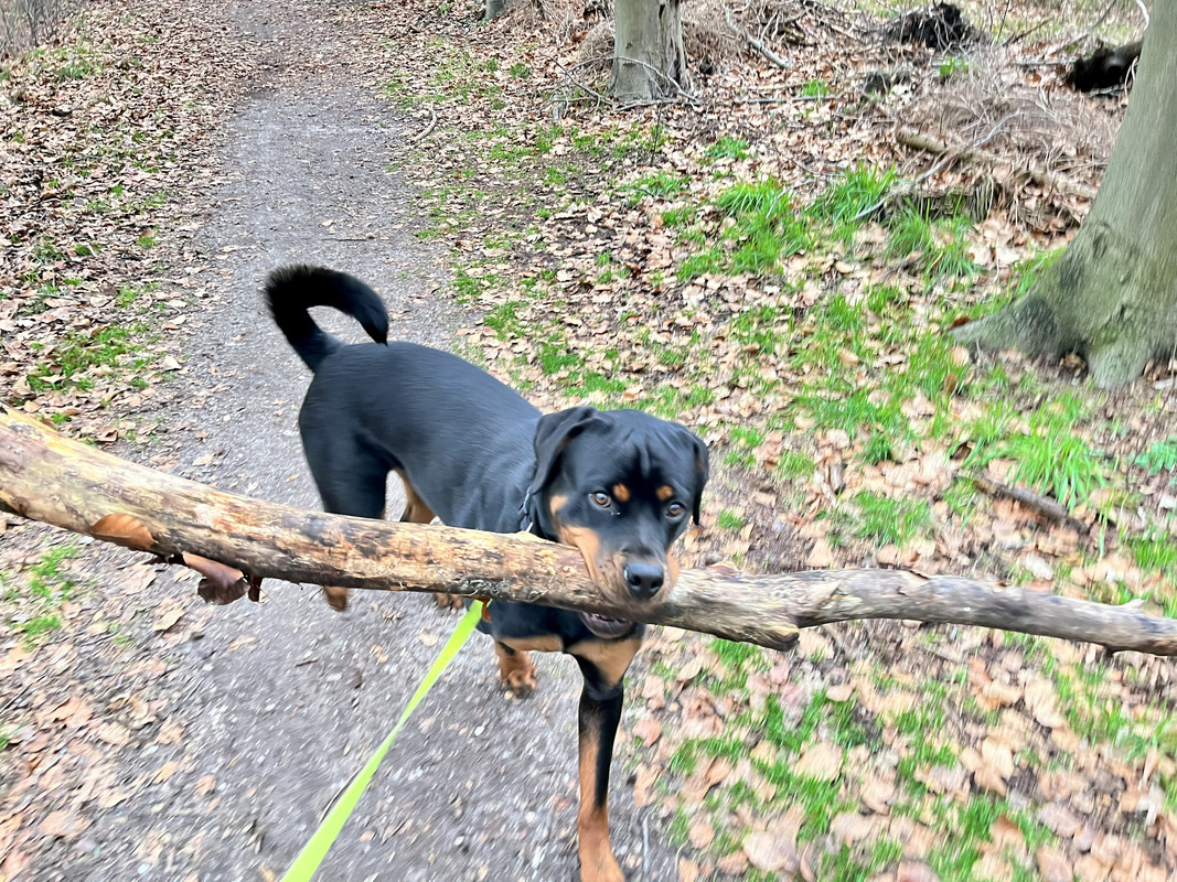 A3D37C49-0B85-4B33-80C1-29BCF1D3860B