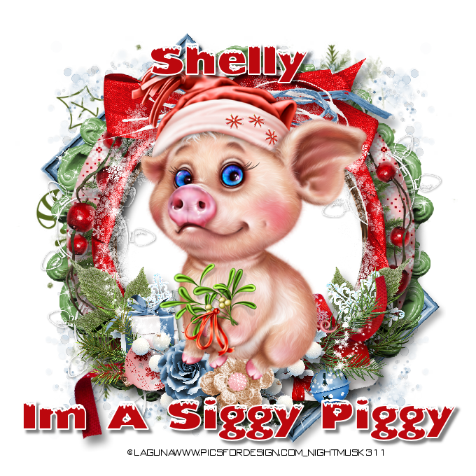 piggyredsiggyshelly-vi