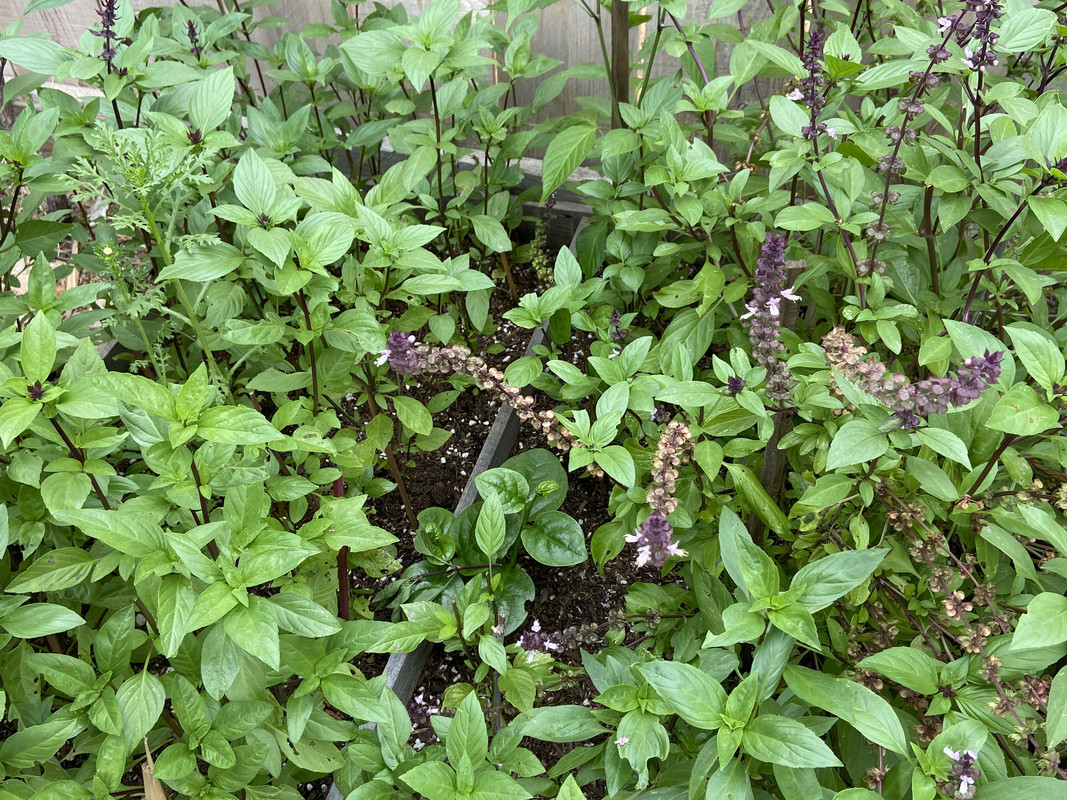 E01CDA13-7726-4DCD-9616-6494A7E8EF21