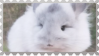 made by @transmascgarfield on tumblr