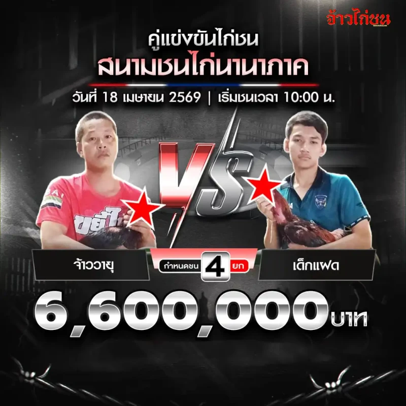 โปรแกรมไก่ชน สนามชนไก่นานาภาค 18 เมษายน 2569 จ้าววายุ vs เด็กแฝด