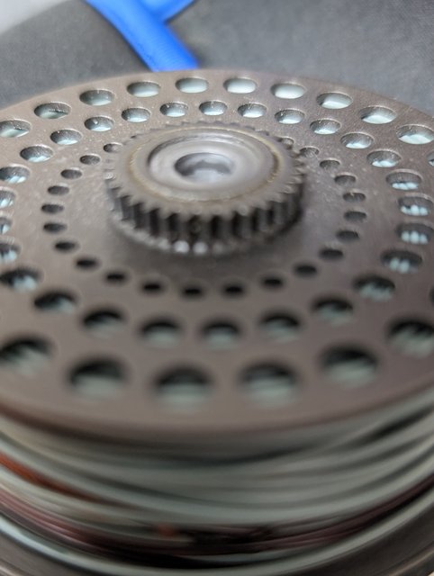 PXL_20240428_211834108.PORTRAIT