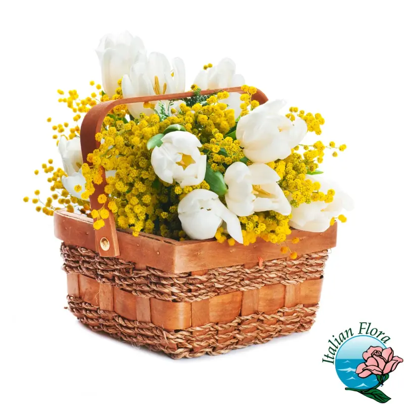cestino-di-tulipani-bianchi-con-mimosa